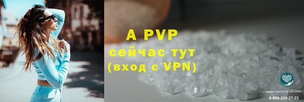 дживик Абинск