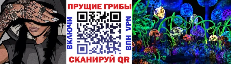 Псилоцибиновые грибы мухоморы  Зеленодольск 